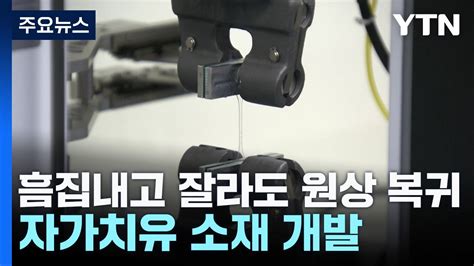 과학 한스푼 흠집내고 잘라도 원상 복귀자가치유 소재 개발 Ytn Youtube