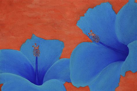 Blue Hibiscus Painting by Nick Flavin - Fine Art America