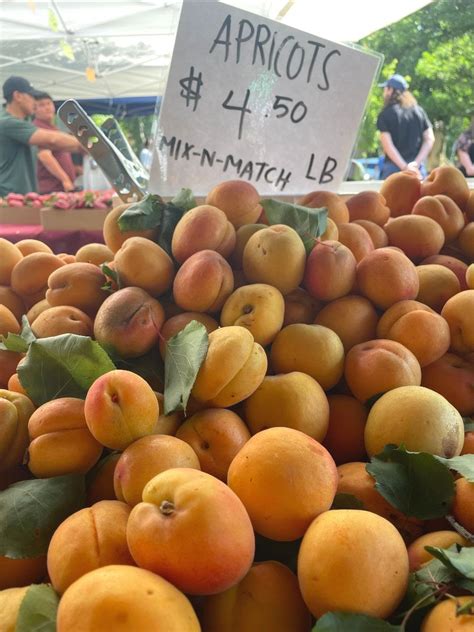 Stone Fruit And Sundays Chico Certified Farmers Market