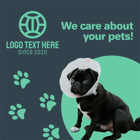 Veterinary Clinic Instagram Post Brandcrowd Instagram Post Maker