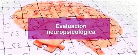 Evaluaci N Neuropsicol Gica Qu Es Objetivos Etapas T Cnicas C