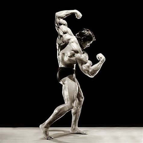 Arnold Schwarzenegger: Iconic Pose