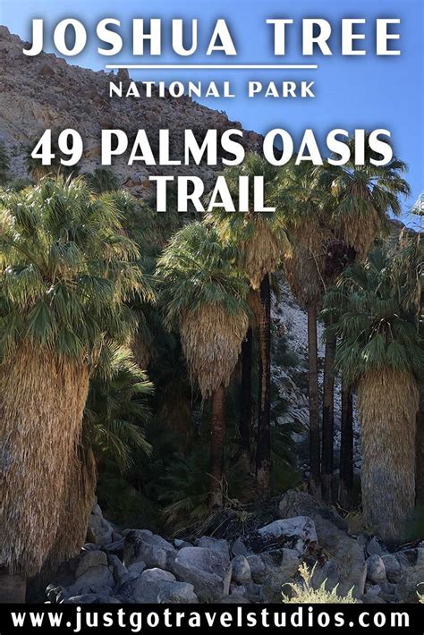 Hiking The 49 Palms Oasis Trail In Joshua Tree National Park Artofit