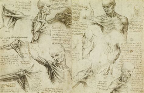 Leonardo Da Vinci Anatomický Atlas Luxusná Knižnica