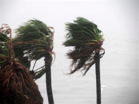 Premium Photo | Strong wind during the effects of hurricane norma october 2023 la paz baja ...