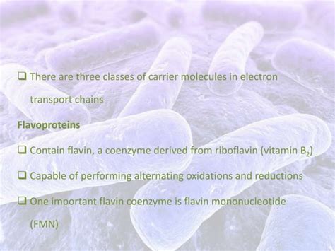 Bacterial Aerobic Respiration Ppt