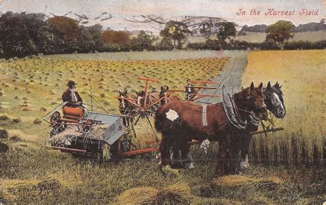 Agriculture Wheat Harvesting Horse Drawn Harvester Farm 1909 Ebay