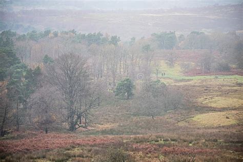 Beautiful Scenery In The Moorlands When The Fog As Lifted Stock Image