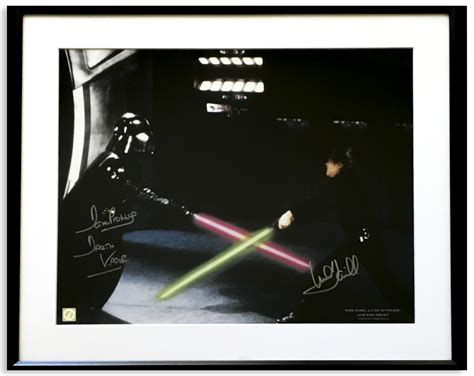 Lot Detail Mark Hamill And Dave Prowse Signed 20 X 16 Star Wars