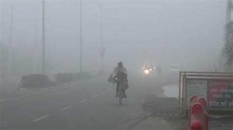 Parts Of Haryana Punjab Reel Under Freezing Cold Narnaul Coldest At 2 5 Deg C Editorji