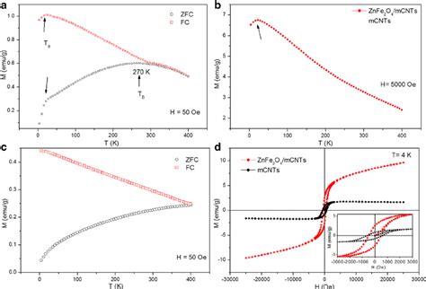 Magnetization Measurements Under Zfc And Fc Conditions In An Applied