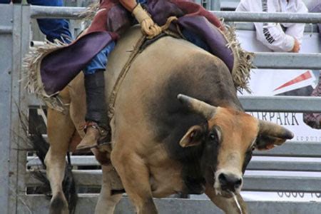 Tributes - New Zealand Rodeo Cowboys Association | Official Website