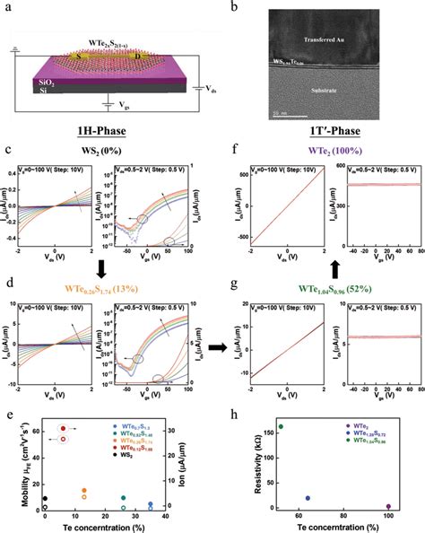 Transport Characterizations Of Backgated FET Devices Based On 1Hphase