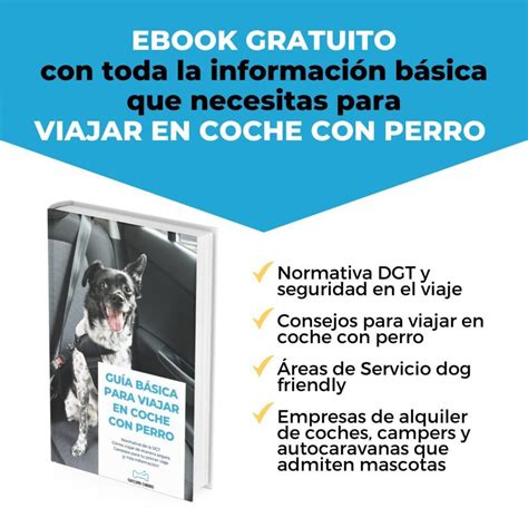 Consejos Imprescindibles Para Transportar A Tu Mascota Con Seguridad