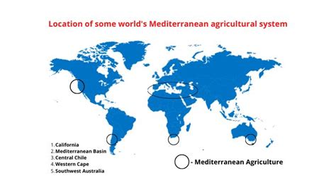 Mediterranean Farming Map