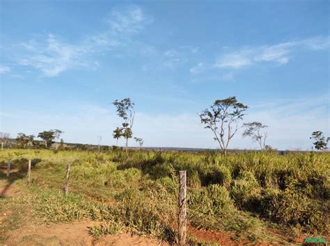 Fazenda 308 Alqueires Paulista na Região de Inocência Ms em 602439