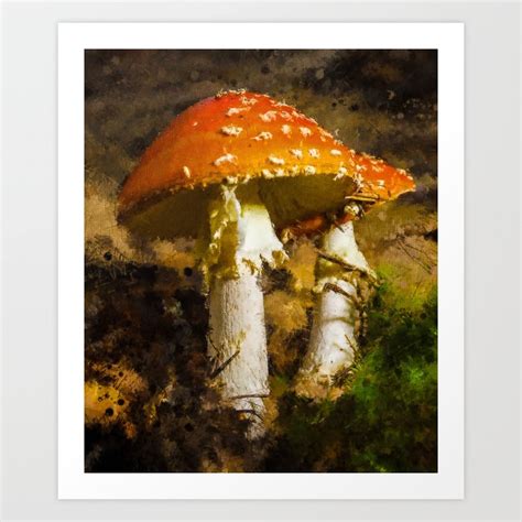 Amanita Muscaria Mushroom Vintage Cute Amanita Muscaria Botanical Art