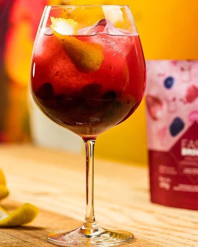 Easy Drinks Kit Sache Bebidas Frutas Vermelhas Gin T Nica