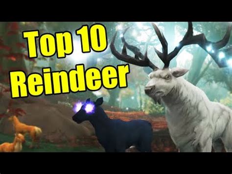 Pointless Top 10 Reindeer Stags In World Of Warcraft YouTube