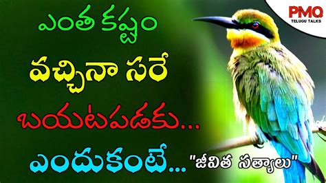 Jeevitha Satyalu 84 Manchi Matalu Motivation Quotes Inspiration Quote