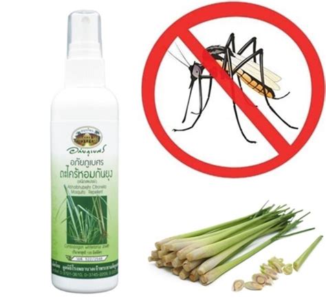 Thai Herb Mosquito Repellent Spray Herbal Lemongrass Citronella 120 Ml Bottie Ebay