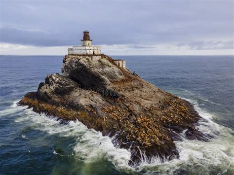 Terrible Tilly Lighthouse Oregon Coast Stock Photos - Free & Royalty ...