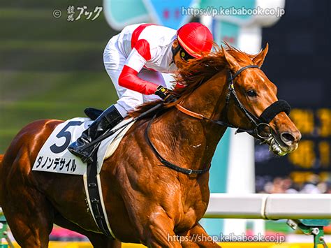 競馬ブックネットshop カラープリントアルミ枠付き2024年5月26日東京11r ダービーアップダノンデサイル