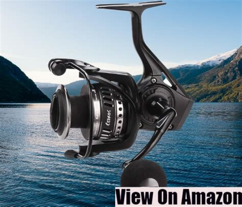 Best Fishing Reels For Bass Discover The Top Fishing Reels