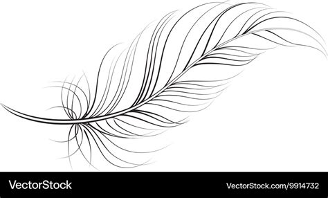 Clip Art Feather Royalty Free Vector Image Vectorstock