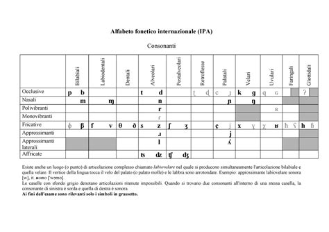 Sistema IPA Consonanti Dellitaliano Contemporaneo Alfabeto Fonetico