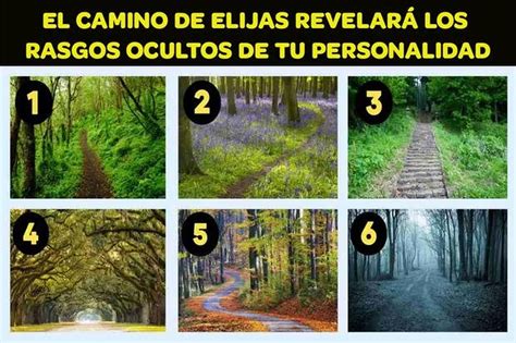 Test De Personalidad Elige Un Camino Y Descubre Algo