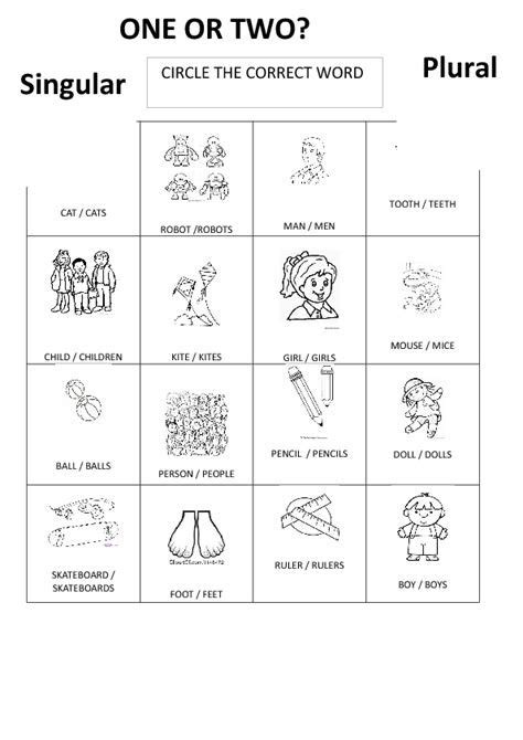 Nouns Singular Plural Esl Worksheet By Jhansi C73 Artofit