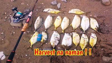 Jackpot Sa Kawan Ng Mga Talakitok Shore Casting Philippines Fishing