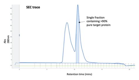 Size Exclusion Chromatography For Protein Purification Proteogenix Hot Sex Picture