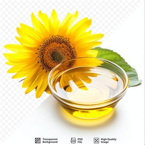 Girasol Y Un Cuenco De Aceite De Cocina Sobre Un Fondo Blanco Aislado