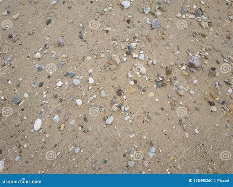 Sand And Pebbles Texture Stock Photography | CartoonDealer.com #128495360