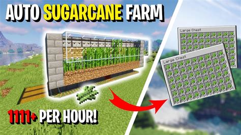 Minecraft Auto Sugarcane Farm 120 Javabedrock Youtube