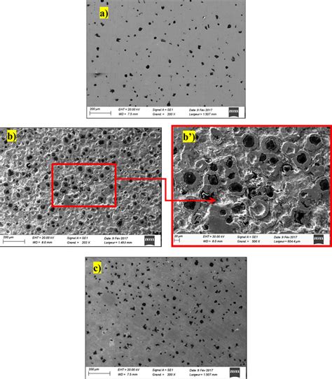 Sem Micrographs Of Cast Iron Samples A As Polished B Immersed In M