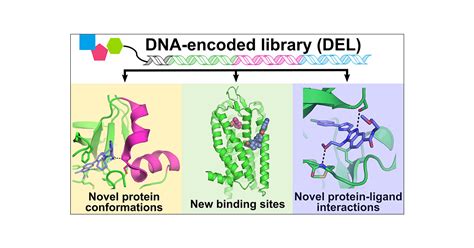 Screening Ultra Large Encoded Compound Libraries Leads To Novel Proteinligand Interactions And