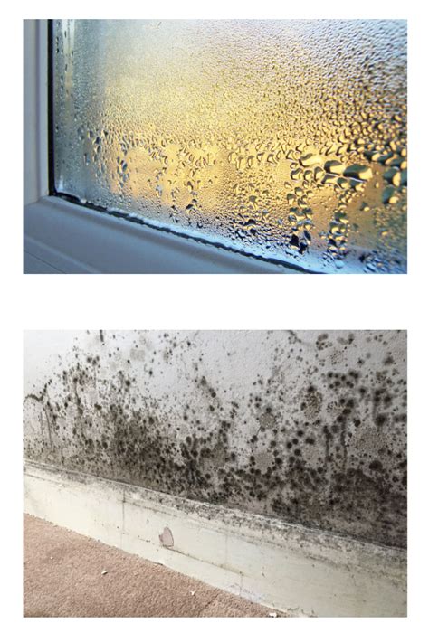 A Guide To Condensation Damp And Mould Heywoods Property