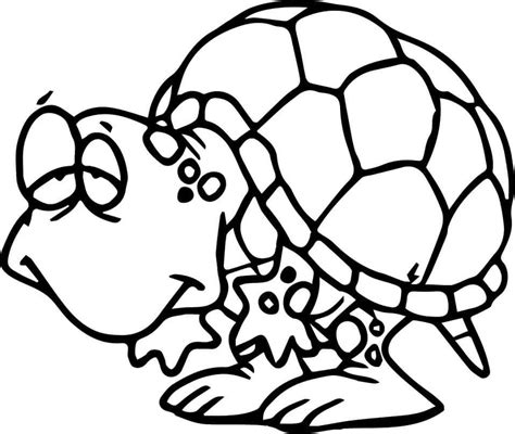 Viajero Tortuga Para Colorear Imprimir E Dibujar Coloringonly Com