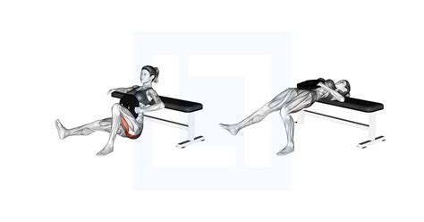 Weighted Hip Thrusts Guide Benefits And Form