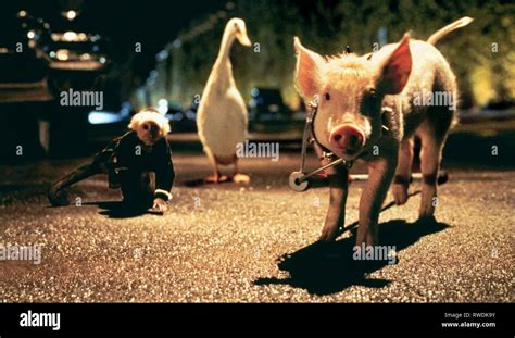 Babe Film Pig High Resolution Stock Photography And Images Alamy