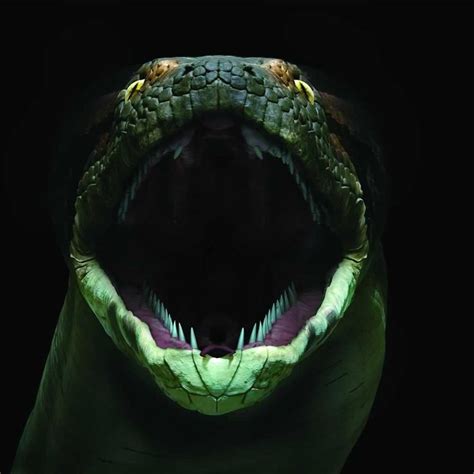 Titanoboa: The Monster Snake at the Smithsonian