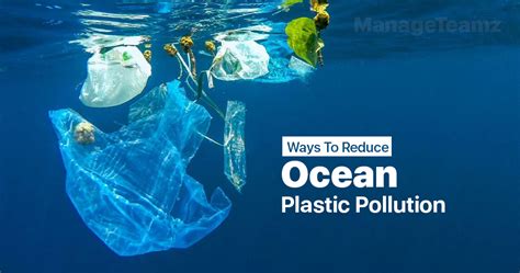 Ways To Reduce Ocean Plastic Pollution Today