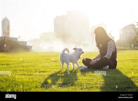 Pet Dog And Hostess Stock Photo Alamy