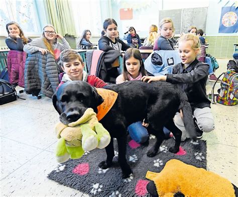 Mädchen Angst genommen Ein Artikel in der Rheinpfalz über unseren