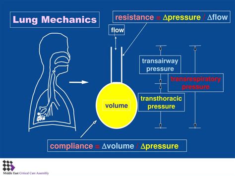 Ppt Basic Pulmonary Mechanics During Mechanical Ventilation