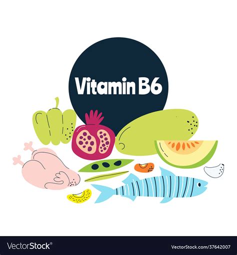 Vitamin B Food Sources