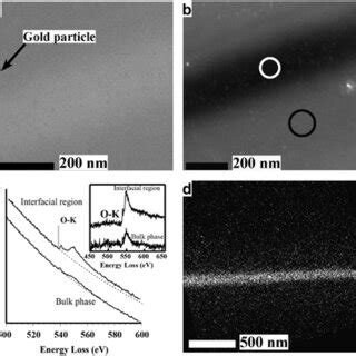 Energy Filtered Transmission Electron Microscopy Eftem Analysis Of